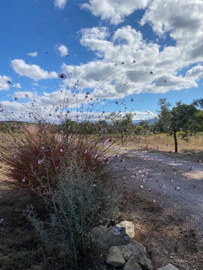 PODERE GRETANO casetta in maremma Paganico  Esterno foto