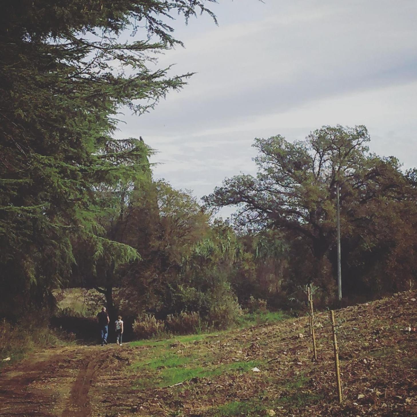 PODERE GRETANO casetta in maremma Paganico  Esterno foto