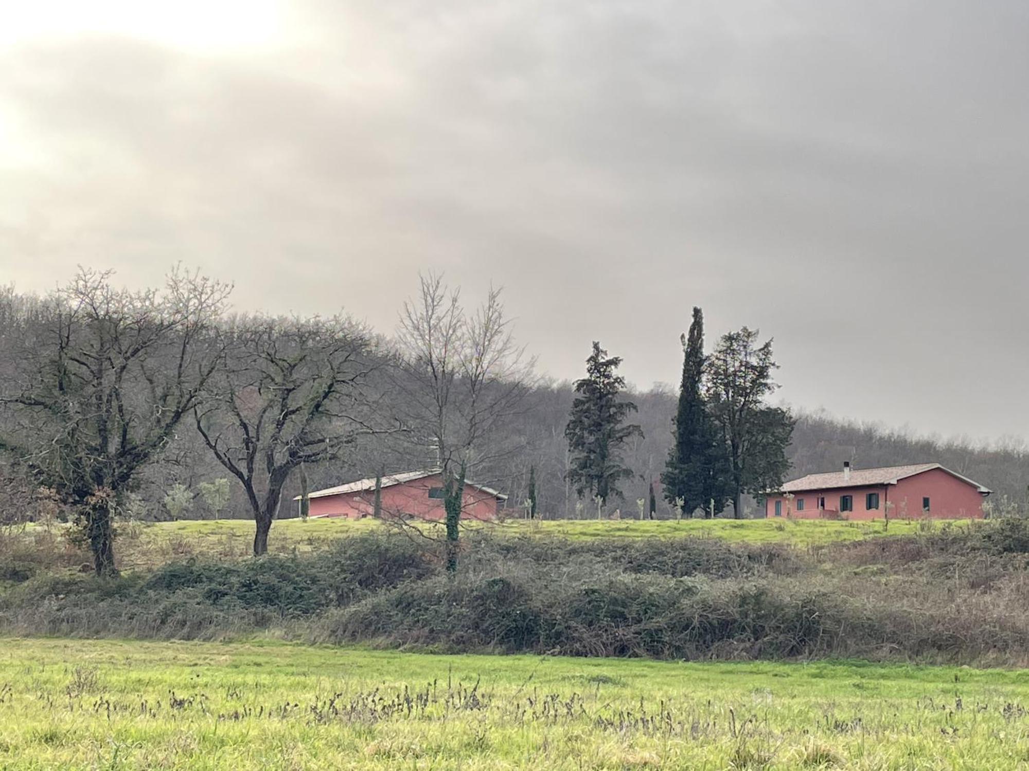 PODERE GRETANO casetta in maremma Paganico  Esterno foto