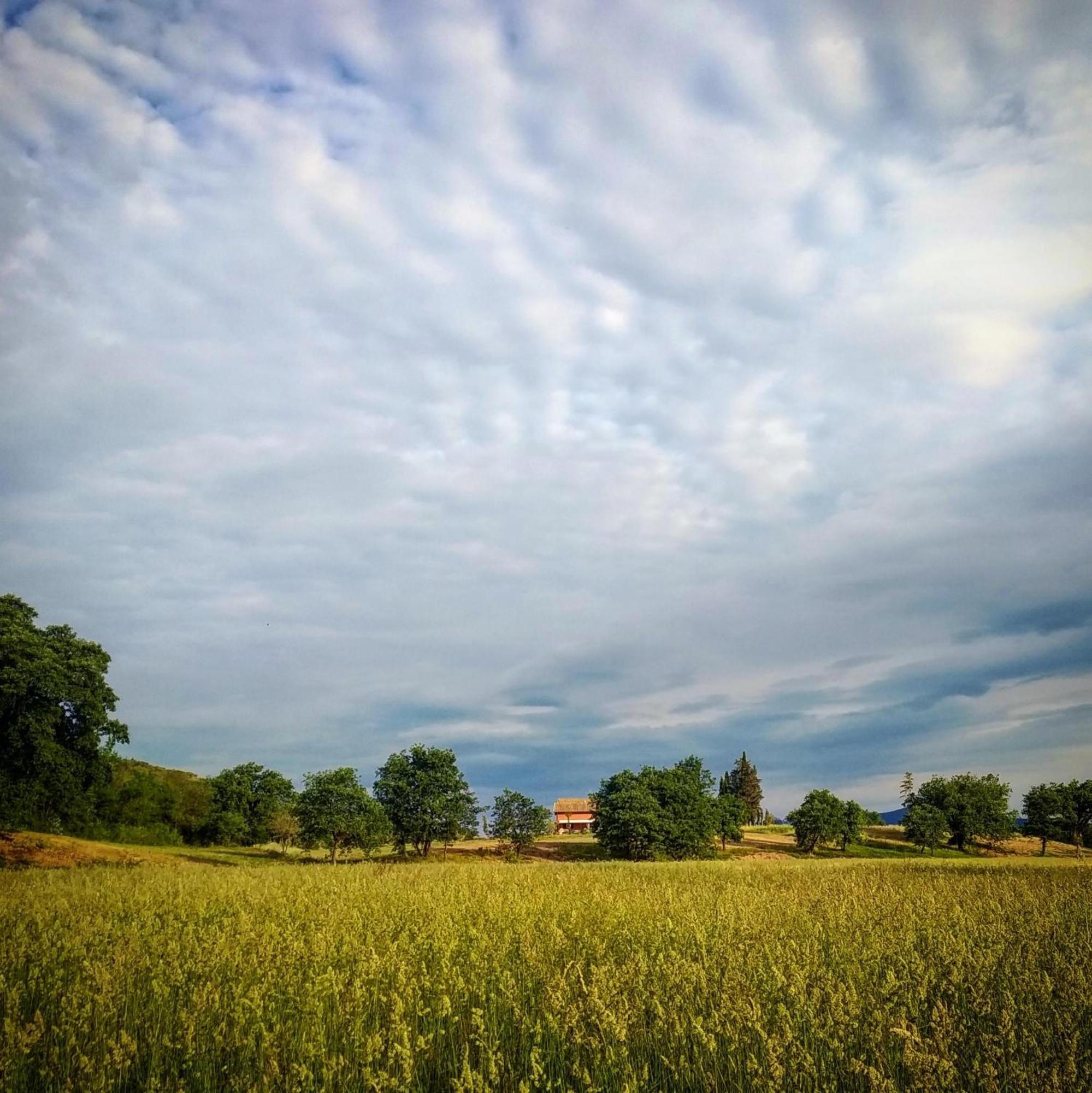 PODERE GRETANO casetta in maremma Paganico  Esterno foto