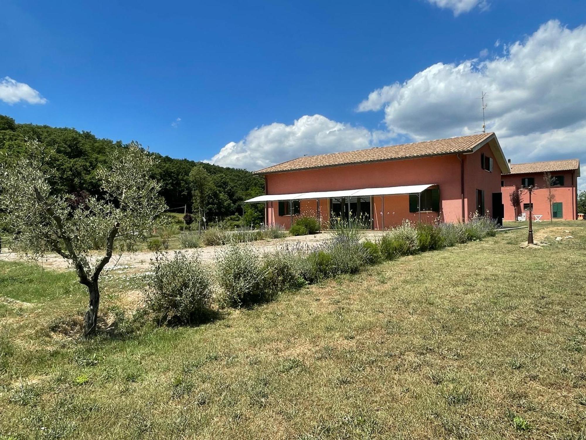 PODERE GRETANO casetta in maremma Paganico  Esterno foto